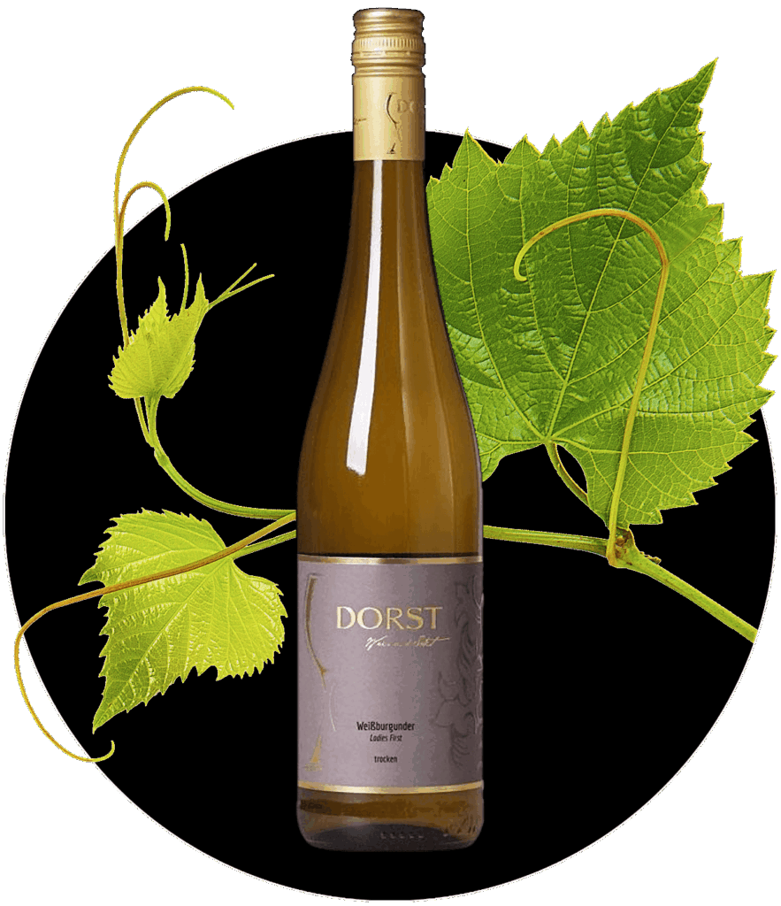 Weissburgunder Dorst Rheinhessen Pinot Blanc Bianco Weißburgunder | WEIN HIPPIE