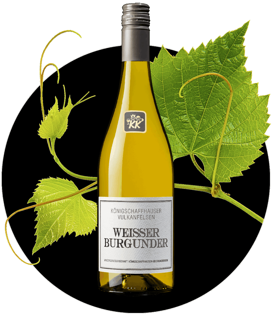 Weissburgunder KK-Weine Baden Pinot Blanc Bianco Weißburgunder | WEIN HIPPIE
