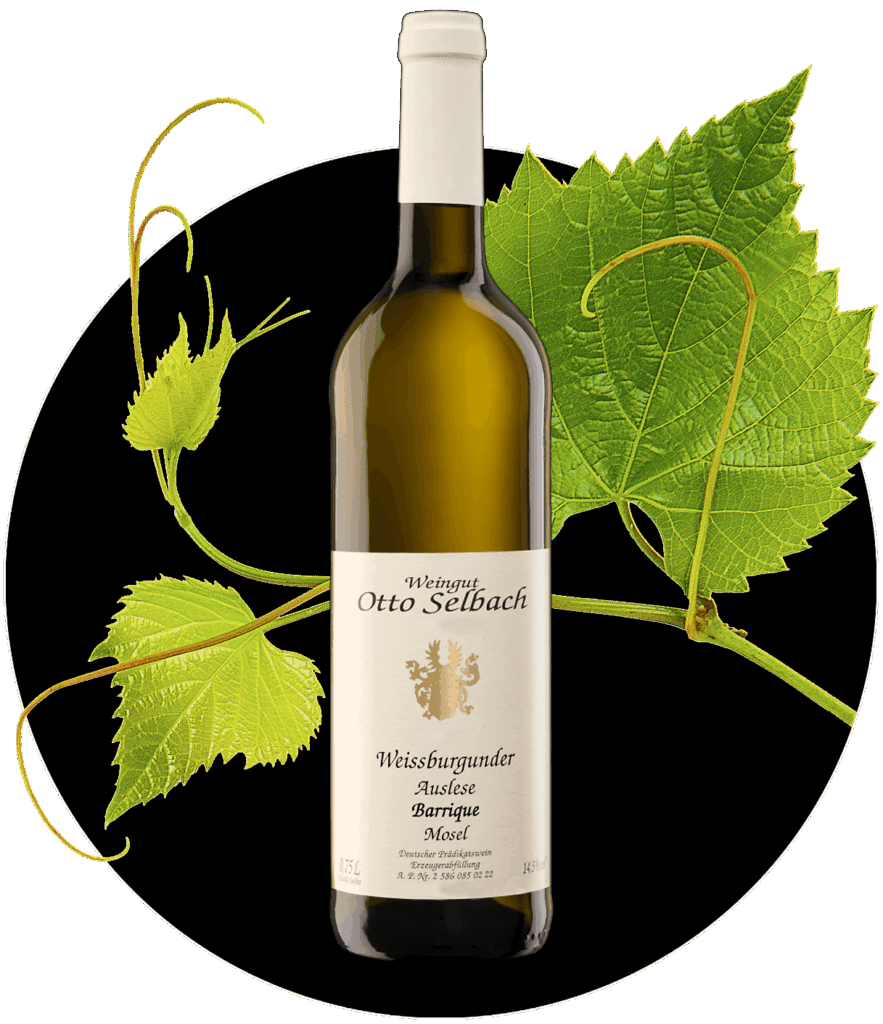 Weissburgunder Otto Selbach Mosel Pinot Blanc Weißburgunder Auslese Barrique | WEIN HIPPIE