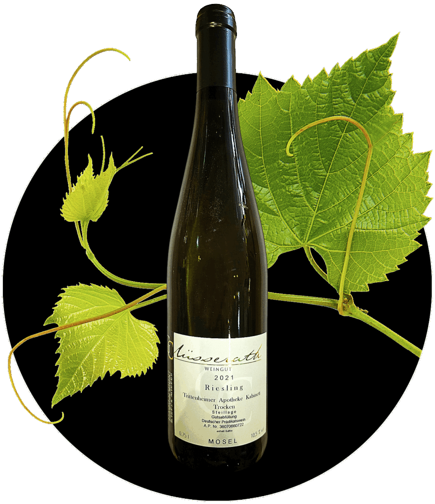 Riesling Cluesserath Trittenheim trocken Kabinett Prädikatswein Mosel | WEIN HIPPIE