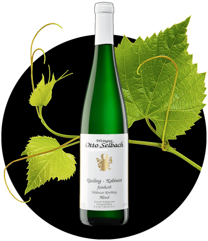 Riesling Otto Selbach Kesten feinherb Kabinett Prädikatswein Mosel | WEIN HIPPIE