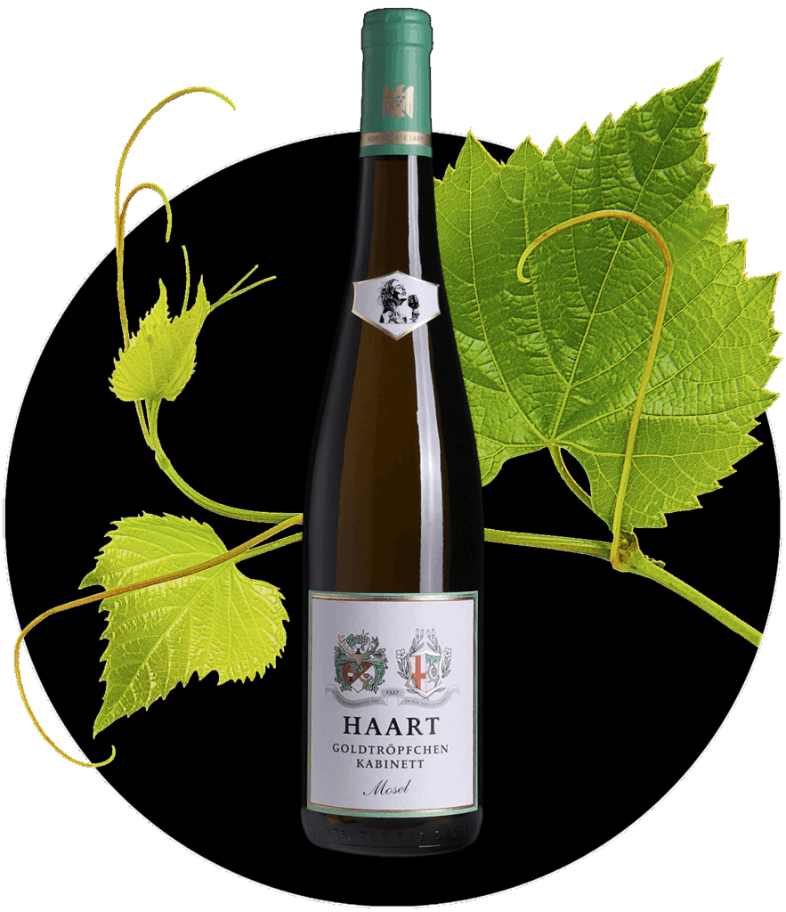 Riesling Haart Piesport Goldtröpfchen lieblich Kabinett Prädikatswein Mosel | WEIN HIPPIE