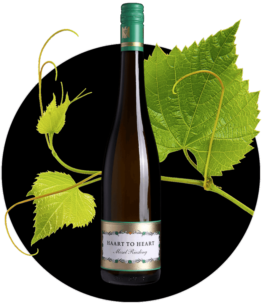 Riesling Haart Piesport Mosel feinherb Deutscher Qualitätswein | WEIN HIPPIE