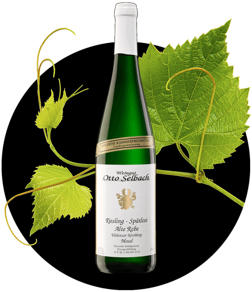 Riesling Selbach kesten Mosel Spätlese feinherb Alte Rebe | WEIN HIPPIE