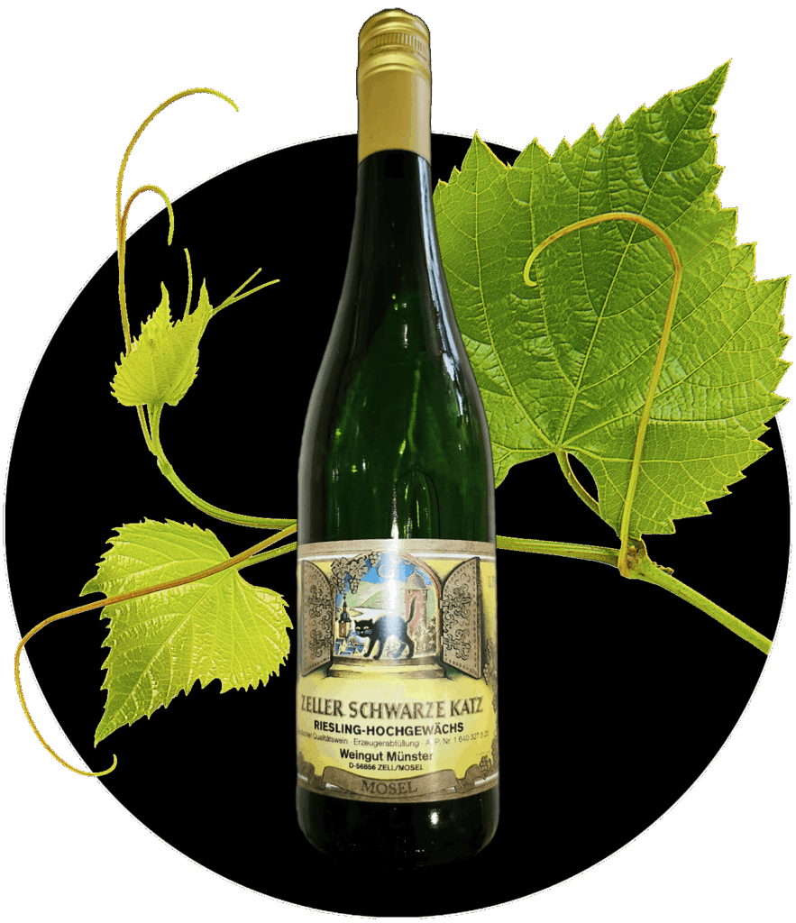 Riesling Weingut Münster Zell Mosel edel süß Hochgewächs | WEIN HIPPIE