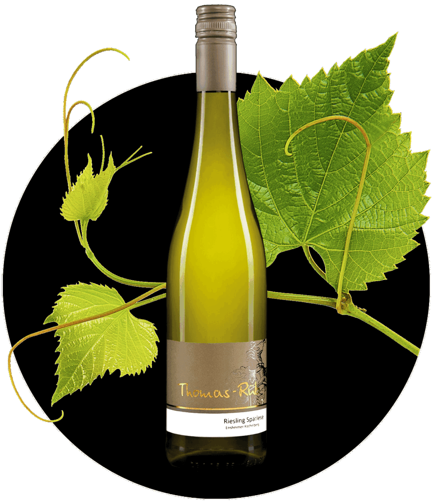 Riesling Thomas Rüb Rheinhessen edel süß Spätlese Prädikatswein | WEIN HIPPIE