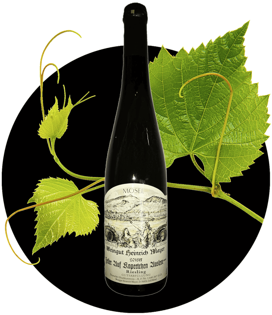 Riesling Weingut Heinrich Mayer edel süß Auslese Prädikatswein | WEIN HIPPIE