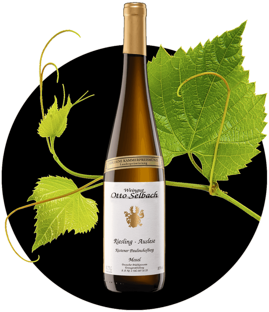 Riesling Weingut Otto Selbach Mosel edel süß Auslese Prädikatswein | WEIN HIPPIE